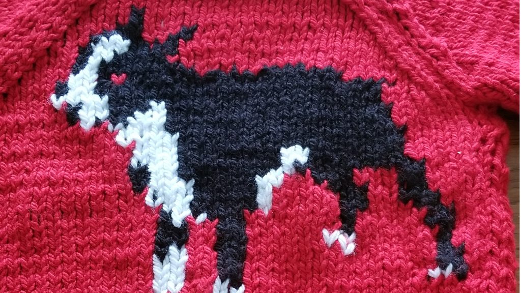 Close-up image of knitted boston terrier design knitting by beginner